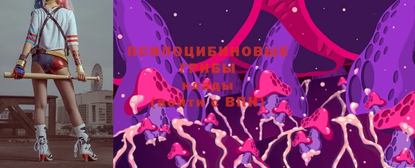 тгк Армянск