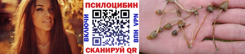 Псилоцибиновые грибы мицелий Купить Магнитогорск